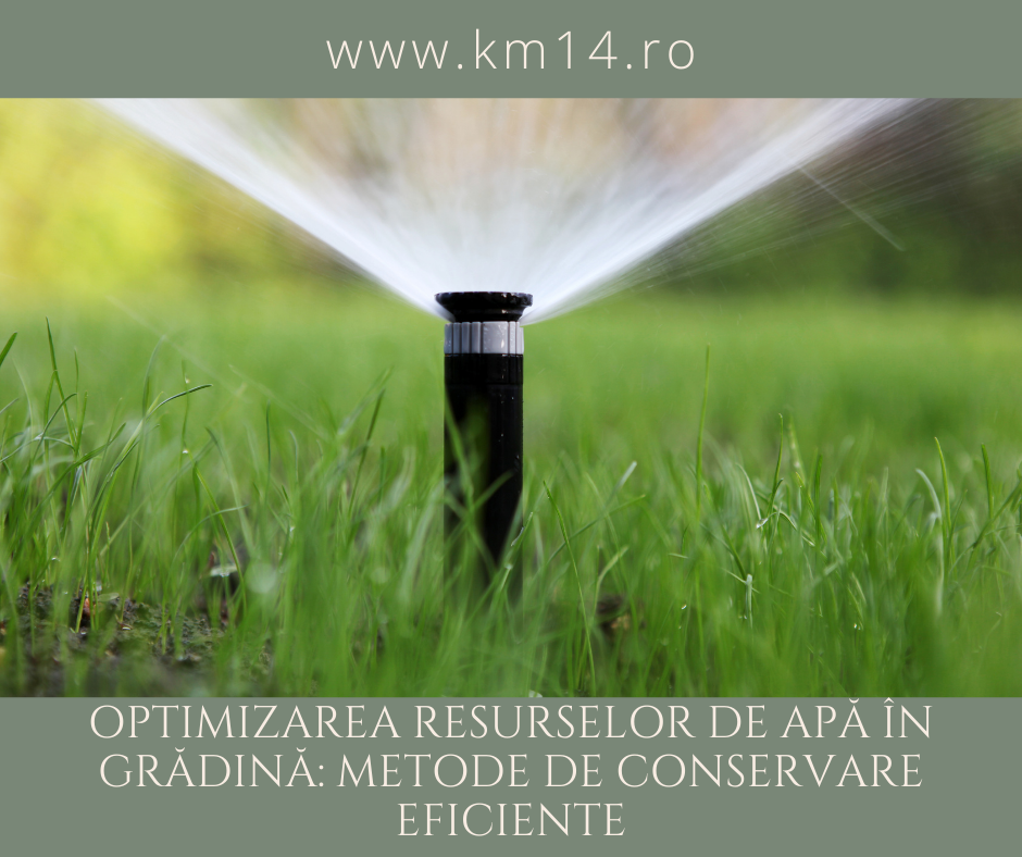 Optimizarea Resurselor de Apă în Grădină: Metode de Conservare Eficiente