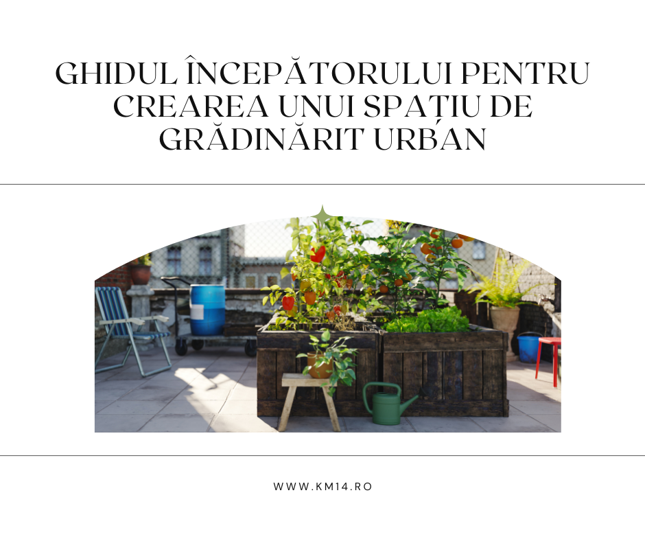 Ghidul Începătorului pentru Crearea unui Spațiu de Grădinărit Urban