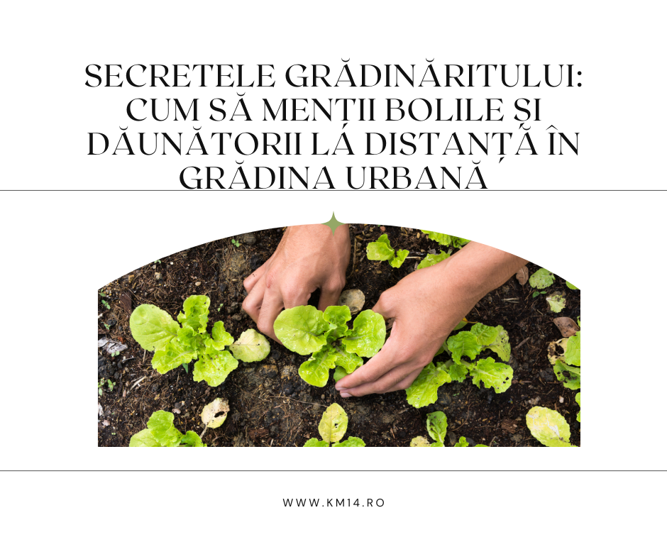 Secretele Grădinăritului: Cum să Menții Bolile și Dăunătorii la Distanță în Grădina Urbană