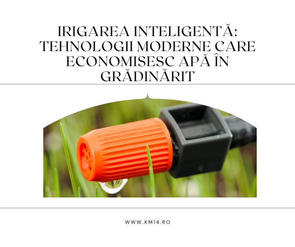 Irigarea Inteligentă: Tehnologii Moderne care Economisesc Apă în Grădinărit