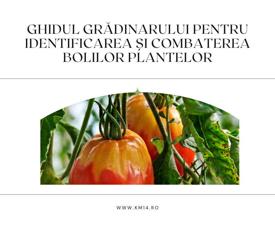Ghidul Grădinarului pentru Identificarea și Combaterea Bolilor Plantelor