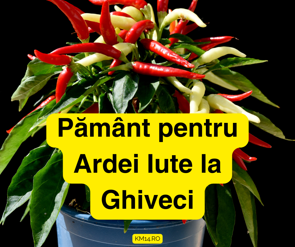 Pământ pentru Ardei Iute la Ghiveci - Amestec Ideal