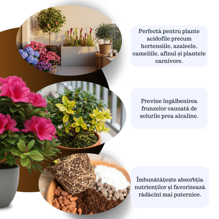 Turbă Blondă Acidă din Sfango Baltic – Substrat Premium pentru Dionea, Nepenthes, Afini și Azalee [3]