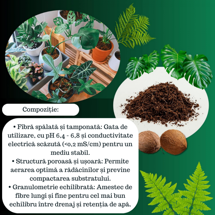 Fibra de cocos pentru Plante - Gata de utilizare [4]