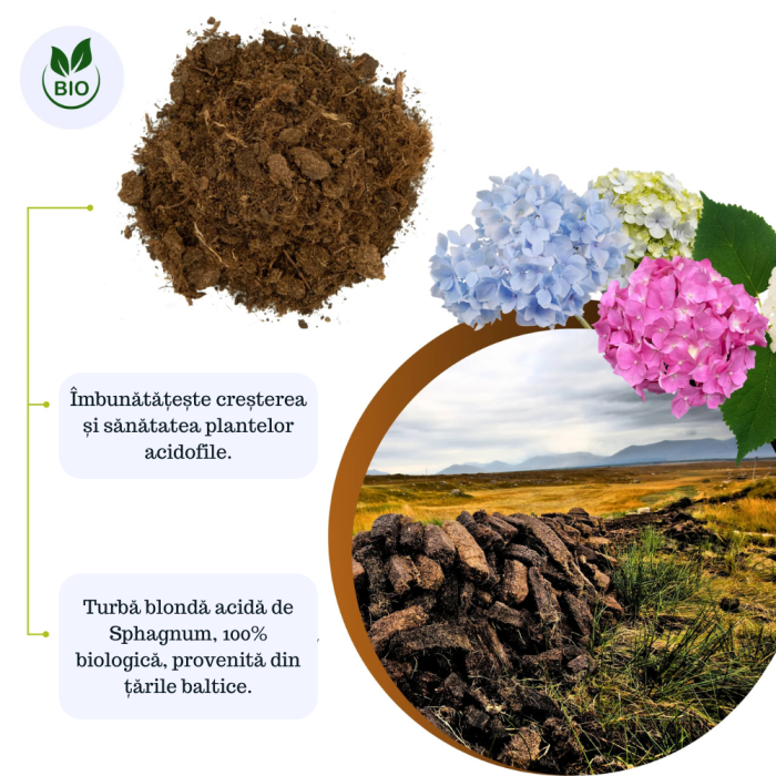 Turbă Blondă Acidă din Sfango Baltic – Substrat Premium pentru Dionea, Nepenthes, Afini și Azalee [2]