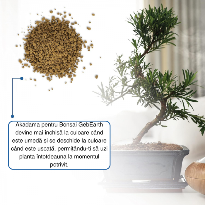 Akadama Japoneză Profesională pentru Bonsai 2-5 mm la 1L - Echilibru Perfect între Apă, Aer și Minerale [5]