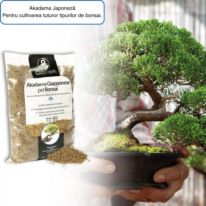 Akadama Japoneză Profesională pentru Bonsai 2-5 mm la 1L - Echilibru Perfect între Apă, Aer și Minerale [4]