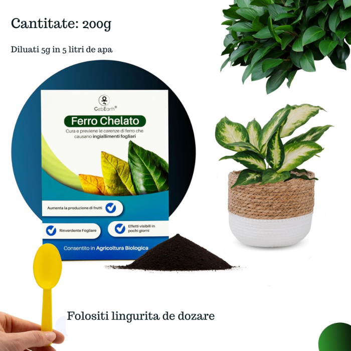 Fier pentru Plante Chelatat – Acțiune rapidă împotriva clorozei și îngălbenirii, ideal pentru legume, plante ornamentale și pomi fructiferi [7]