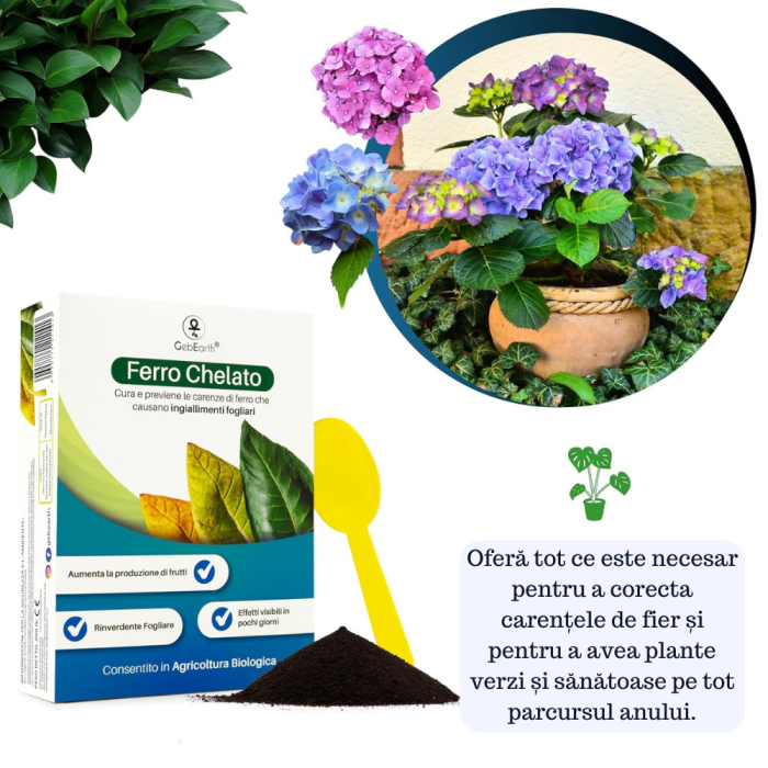 Fier pentru Plante Chelatat – Acțiune rapidă împotriva clorozei și îngălbenirii, ideal pentru legume, plante ornamentale și pomi fructiferi [9]