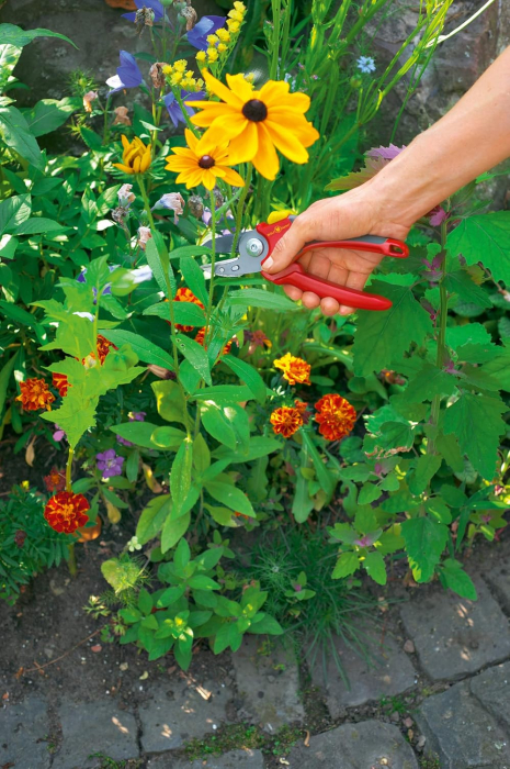 Foarfeca de gradina Wolf Garden RS 2500 [2]