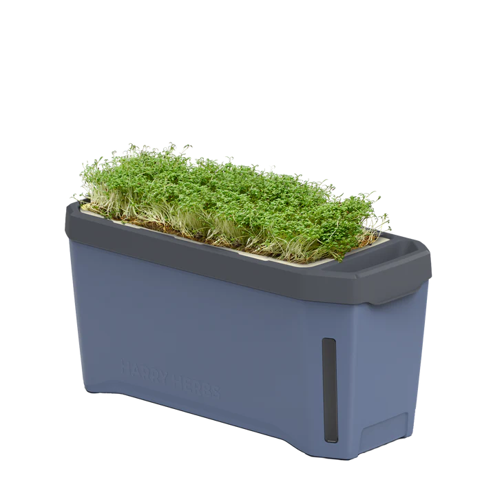 Ghiveci ierburi cu 4 opțiuni de cultivare - autoudare - HARRY HERBS [6]
