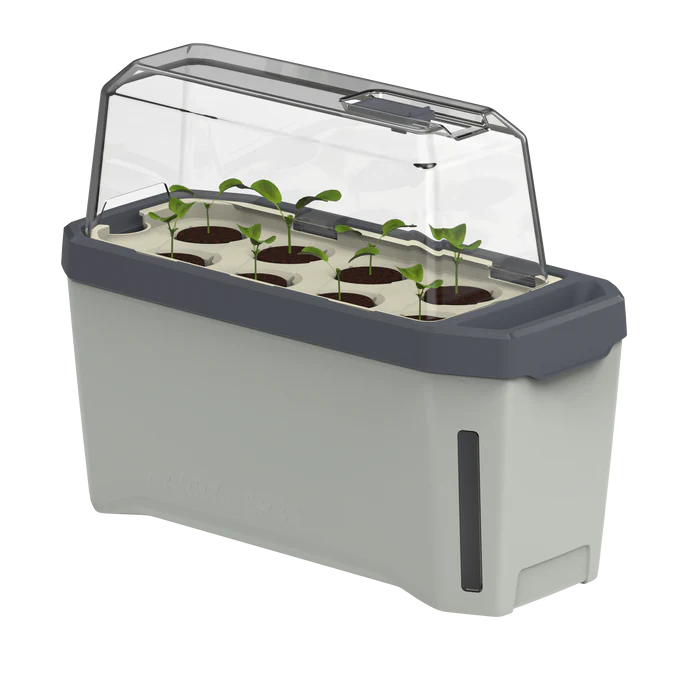 Ghiveci ierburi cu 4 opțiuni de cultivare - autoudare - HARRY HERBS [8]