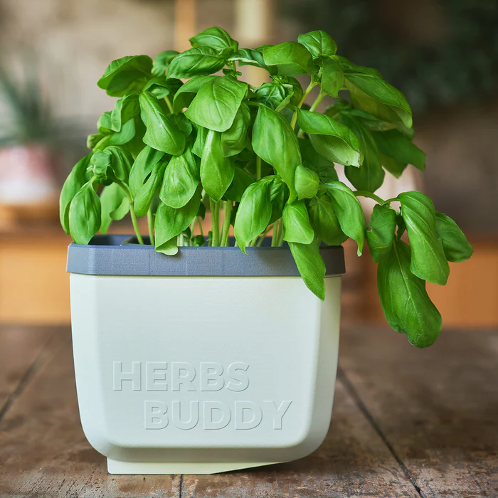 Ghiveci ierburi cu autoudare - HERBS BUDDY [4]