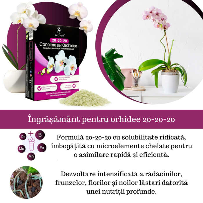 Îngrășământ orhidee solubil -  NPK 20-20-20 – Creștere și înflorire [2]