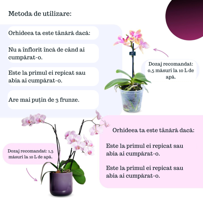 Îngrășământ orhidee solubil -  NPK 20-20-20 – Creștere și înflorire [5]