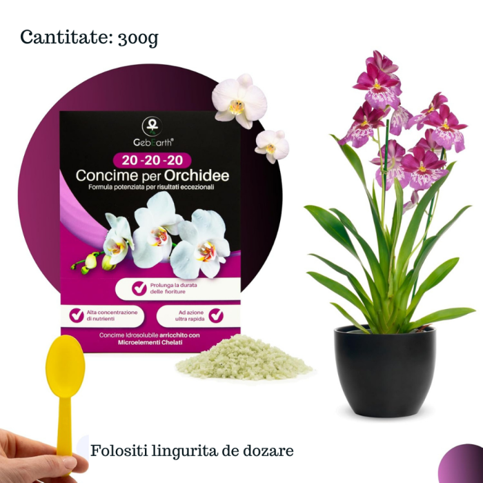 Îngrășământ orhidee solubil -  NPK 20-20-20 – Creștere și înflorire [3]