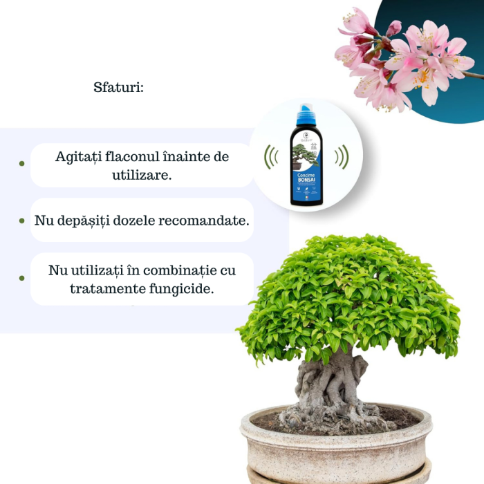 Ingrasamant pentru Bonsai GebEarth® 500 ml, Continut ridicat de nutrienti specifici pentru bonsai, Intareste radacinile si stimuleaza producerea de frunze noi la toate tipurile de arbori bonsai [7]
