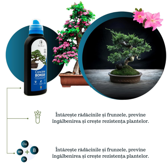 Ingrasamant pentru Bonsai GebEarth® 500 ml, Continut ridicat de nutrienti specifici pentru bonsai, Intareste radacinile si stimuleaza producerea de frunze noi la toate tipurile de arbori bonsai [3]