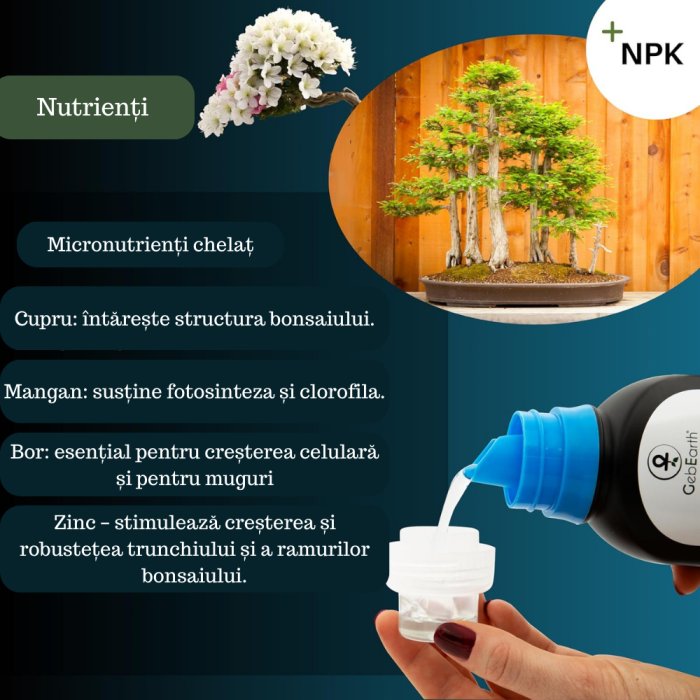 Ingrasamant pentru Bonsai GebEarth® 500 ml, Continut ridicat de nutrienti specifici pentru bonsai, Intareste radacinile si stimuleaza producerea de frunze noi la toate tipurile de arbori bonsai [5]