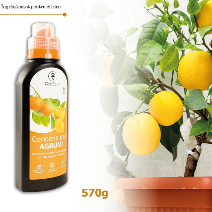 Ingrasamant pentru citrice GebEarth® 500 ml, Stimuleaza productia de fructe si contribuie la mentinerea sanatatii lamailor si a tuturor celorlalte citrice [4]