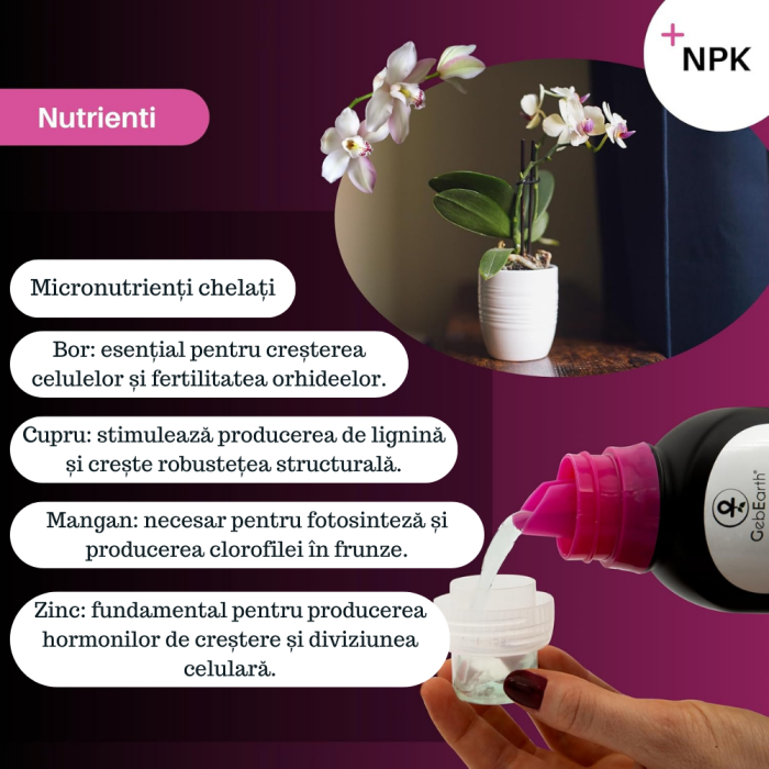 Ingrasamant pentru orhidee GebEarth® 500 ml, bogat in microelemente chelatate, stimuleaza si prelungeste inflorirea orhideelor [6]