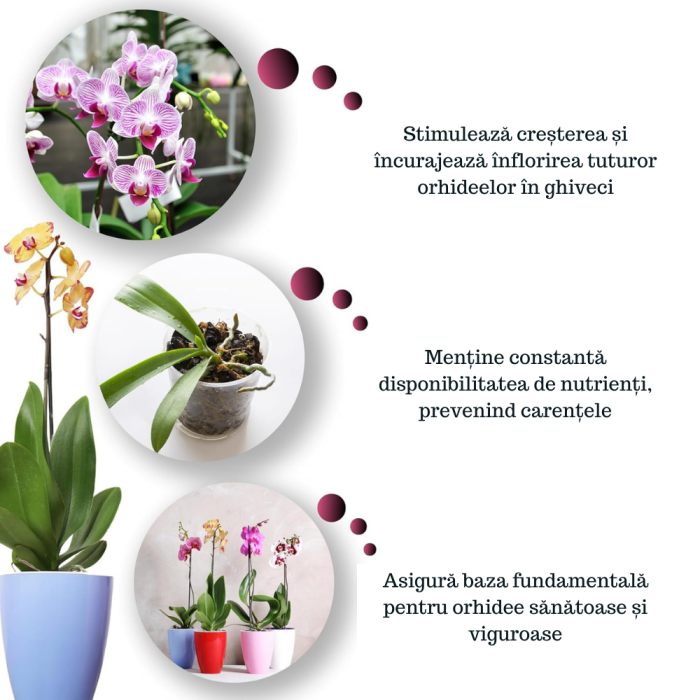 Ingrasamant pentru orhidee GebEarth® 500 ml, bogat in microelemente chelatate, stimuleaza si prelungeste inflorirea orhideelor [2]