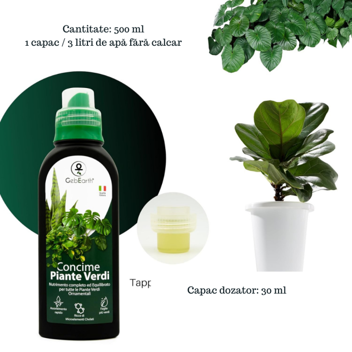 Ingrasamant pentru plante ornamentale verzi GebEarth 500 ml, Ingrasamant perfect pentru Monstera, Ficus, Pothos si toate tipurile de plante verzi, Formula anti-ingalbenire a frunzelor, imbogatita cu f [4]