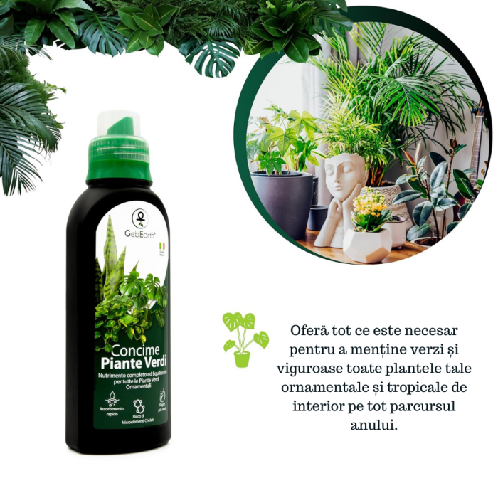Ingrasamant pentru plante ornamentale verzi GebEarth 500 ml, Ingrasamant perfect pentru Monstera, Ficus, Pothos si toate tipurile de plante verzi, Formula anti-ingalbenire a frunzelor, imbogatita cu f [7]