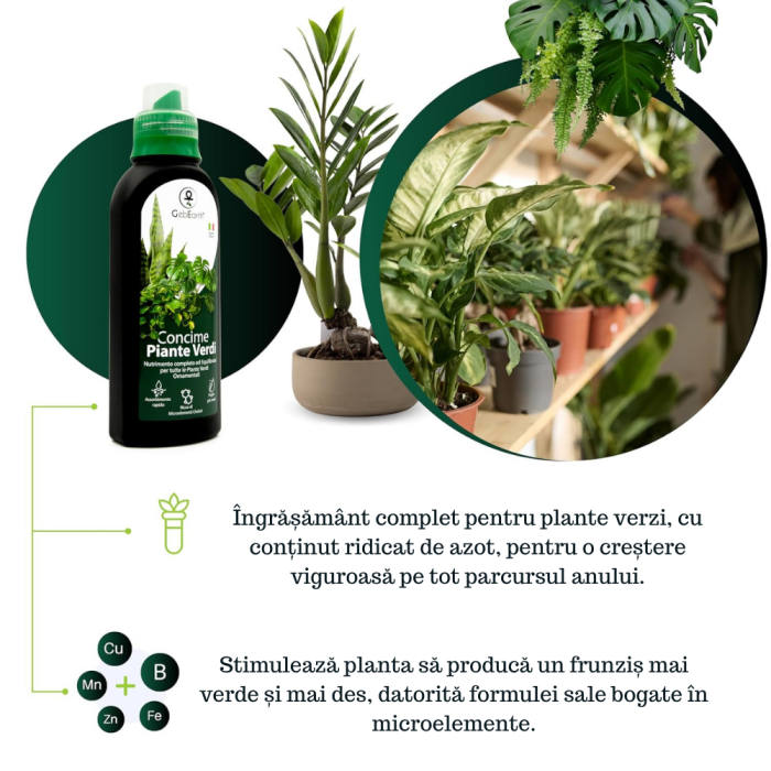 Ingrasamant pentru plante ornamentale verzi GebEarth 500 ml, Ingrasamant perfect pentru Monstera, Ficus, Pothos si toate tipurile de plante verzi, Formula anti-ingalbenire a frunzelor, imbogatita cu f [2]