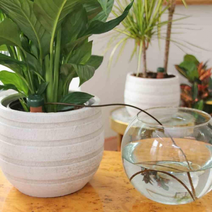 Irigator Blumat Classic 3 buc pentru plante in ghiveci, debit 75ml pana la 125 ml/24 h [5]