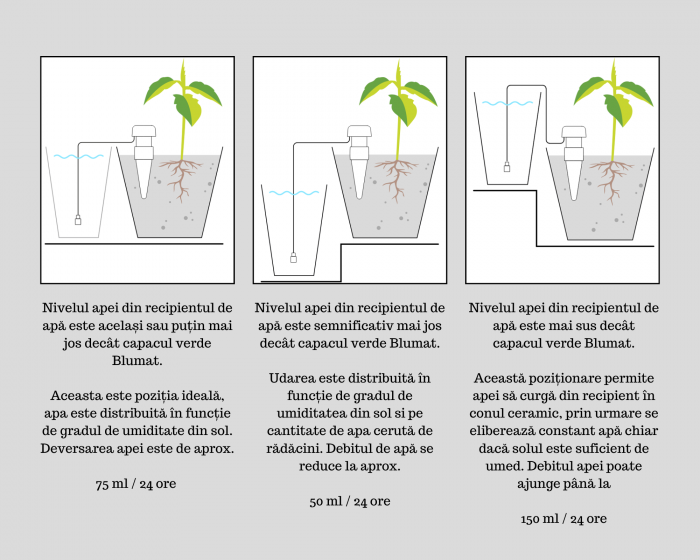 Sistem irigare ghivece [4]