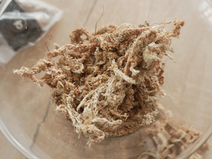 Muschi Sphagnum din Chile ; Fibre / Substrat pentru Orhidee, Bonsai și Plante Carnivore | Ideal pentru Kokedama, Grădini Verticale, Butași și Margotări [10]