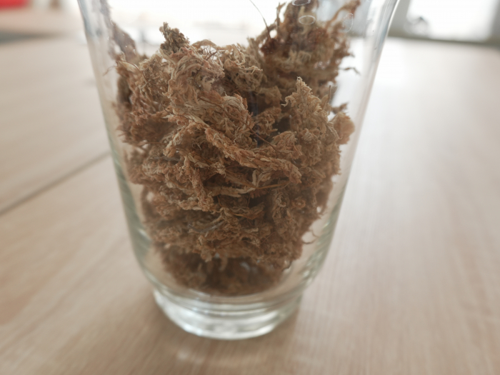 Muschi Sphagnum din Chile ; Fibre / Substrat pentru Orhidee, Bonsai și Plante Carnivore | Ideal pentru Kokedama, Grădini Verticale, Butași și Margotări [9]