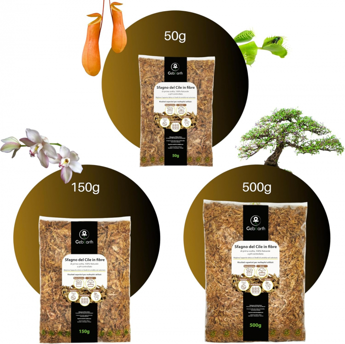 Muschi Sphagnum din Chile ; Fibre / Substrat pentru Orhidee, Bonsai și Plante Carnivore | Ideal pentru Kokedama, Grădini Verticale, Butași și Margotări [6]