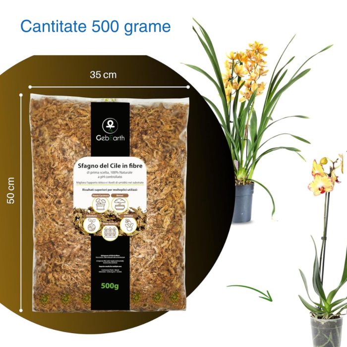 Muschi Sphagnum din Chile in fibre 500g [2]