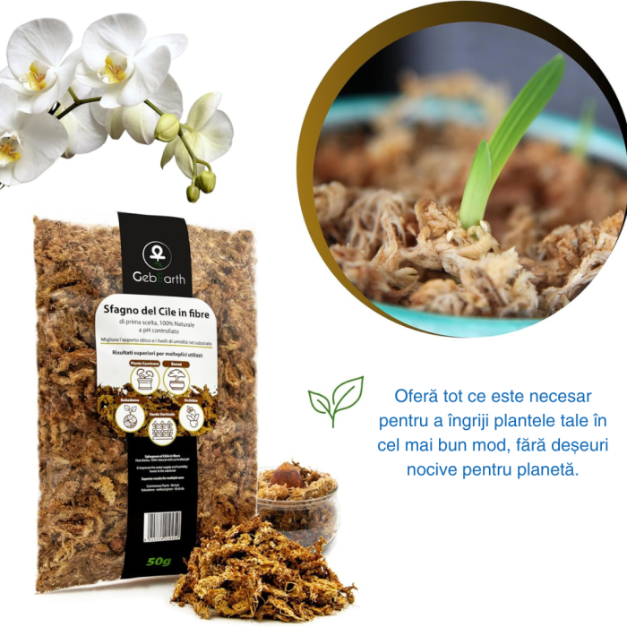 Muschi Sphagnum din Cile in fibre 50g [3]