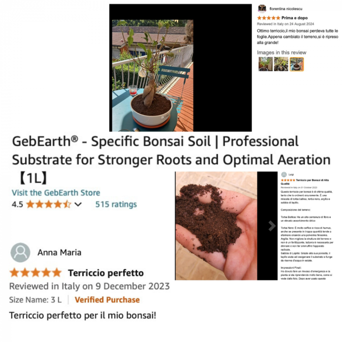 Pământ Bonsai Profesional  - Substrat pentru Rădăcini Mai Puternice și Aerare Optimă [6]