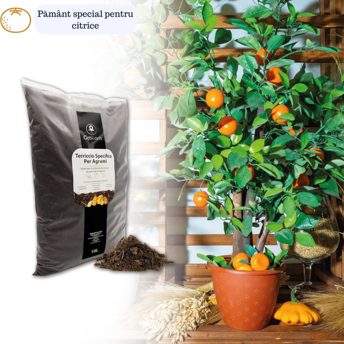 Pamant pentru citrice la ghiveci, 10 litri – special pentru lamai, portocali, bergamote si intreaga familie de plante citrice si mediteraneene Formula cu argila montmorillonitica [4]