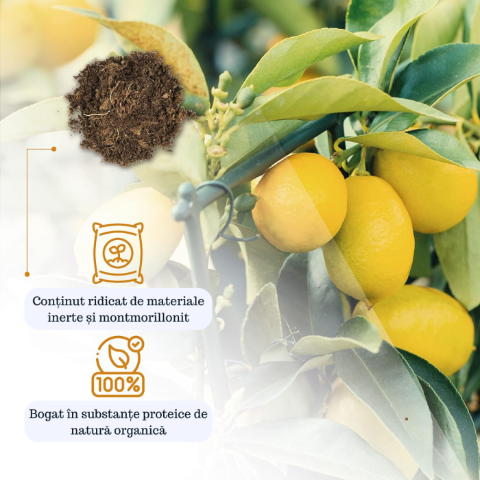 Pamant pentru citrice la ghiveci, 10 litri – special pentru lamai, portocali, bergamote si intreaga familie de plante citrice si mediteraneene Formula cu argila montmorillonitica [3]