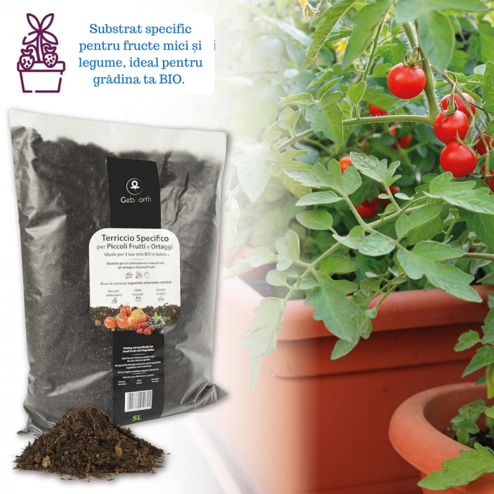 Pământ pentru Fructe Mici și Legume 5L [4]