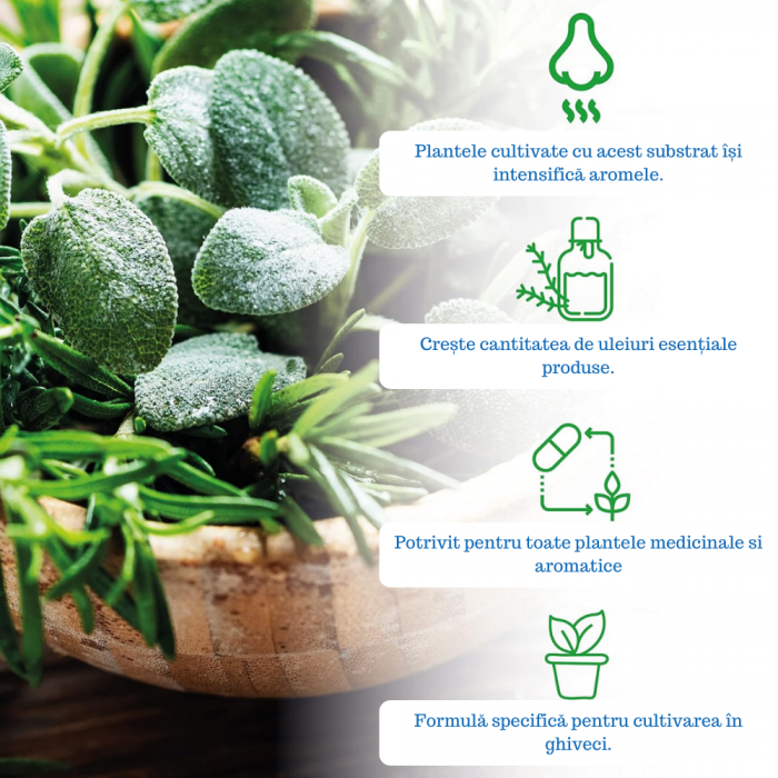 Pământ pentru Plante Aromatice [5]