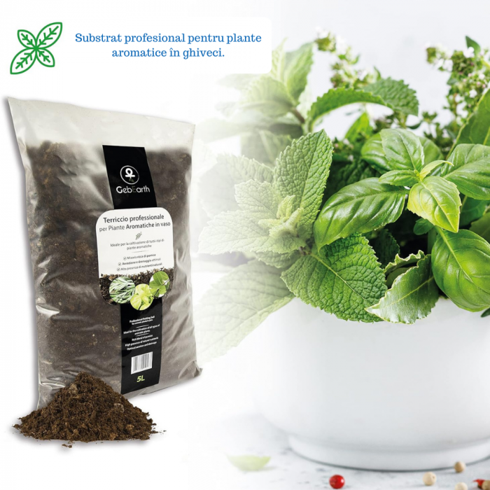 Pământ pentru Plante Aromatice [4]