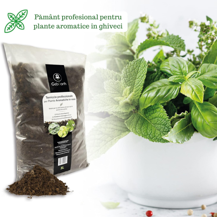 Pamant pentru Plante Aromatice - 3L - GebEarth [3]