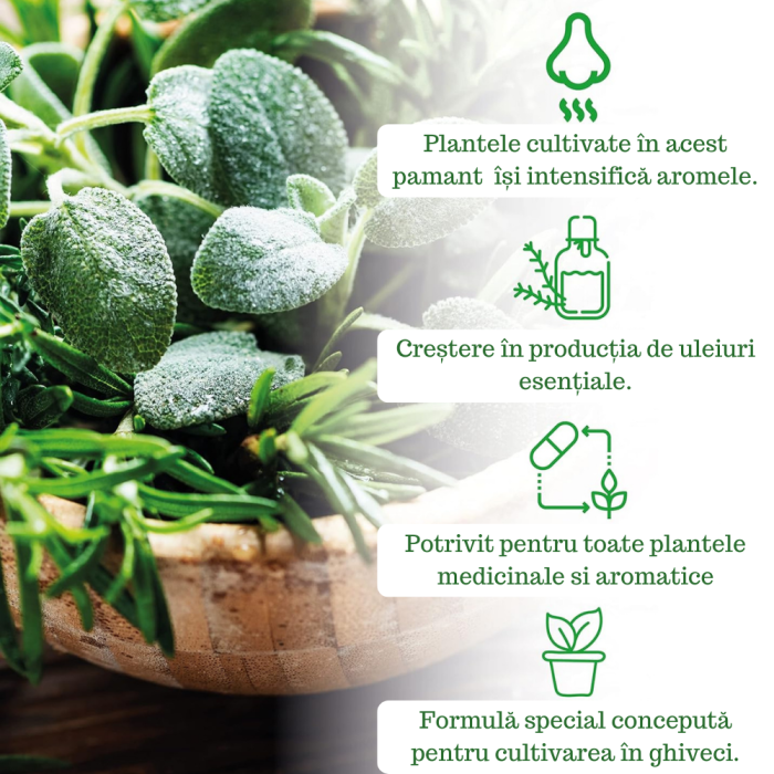 Pamant pentru Plante Aromatice - 3L - GebEarth [2]