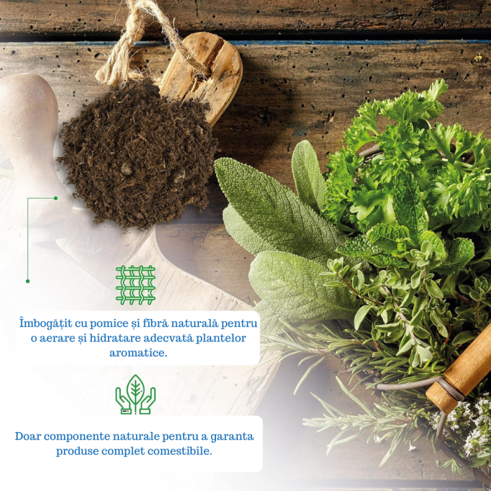 Pământ pentru Plante Aromatice [3]