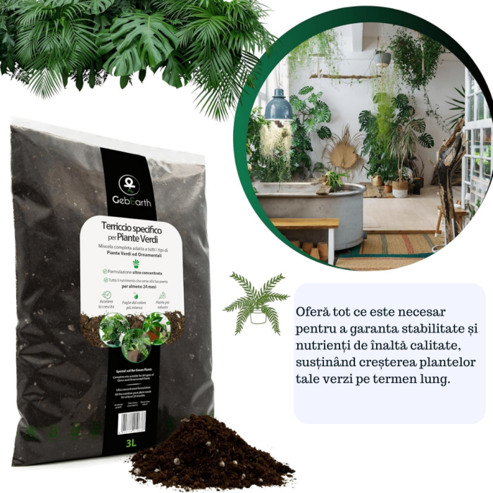 Pamant pentru plante verzi Ideal pentru Monstera, Pothos, Dracaena si toate tipurile de plante verzi. Hrana de durata si crestere sanatoasa [2]