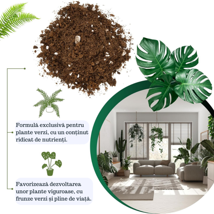 Pamant pentru plante verzi Ideal pentru Monstera, Pothos, Dracaena si toate tipurile de plante verzi. Hrana de durata si crestere sanatoasa [5]
