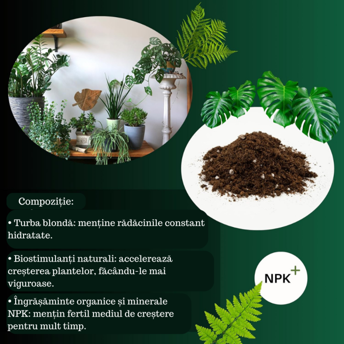 Pamant pentru plante verzi Ideal pentru Monstera, Pothos, Dracaena si toate tipurile de plante verzi. Hrana de durata si crestere sanatoasa [3]