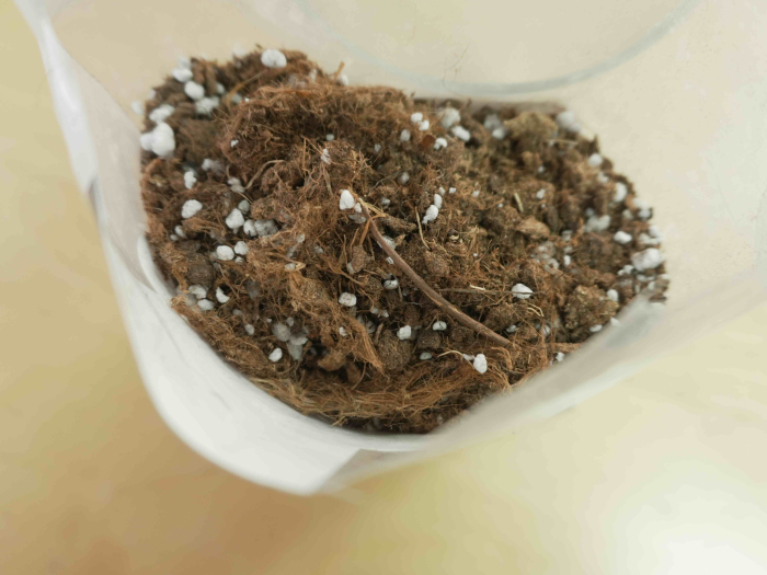 Pamant Plante Carnivore 3L - Formula profesionale pentru toate plantele carnivore [6]