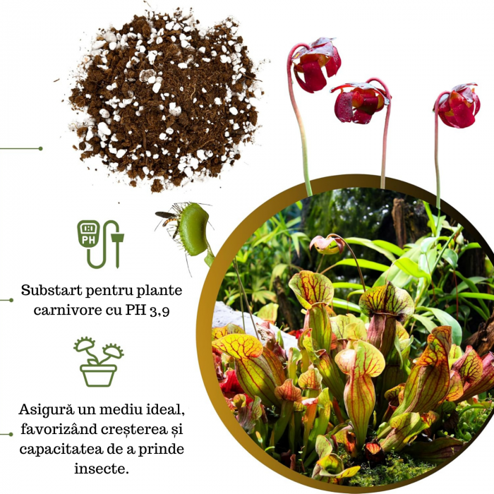 Pământ Plante Carnivore [2]
